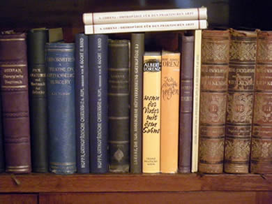 Extract from the Albert and Adolf Lorenz library, study room